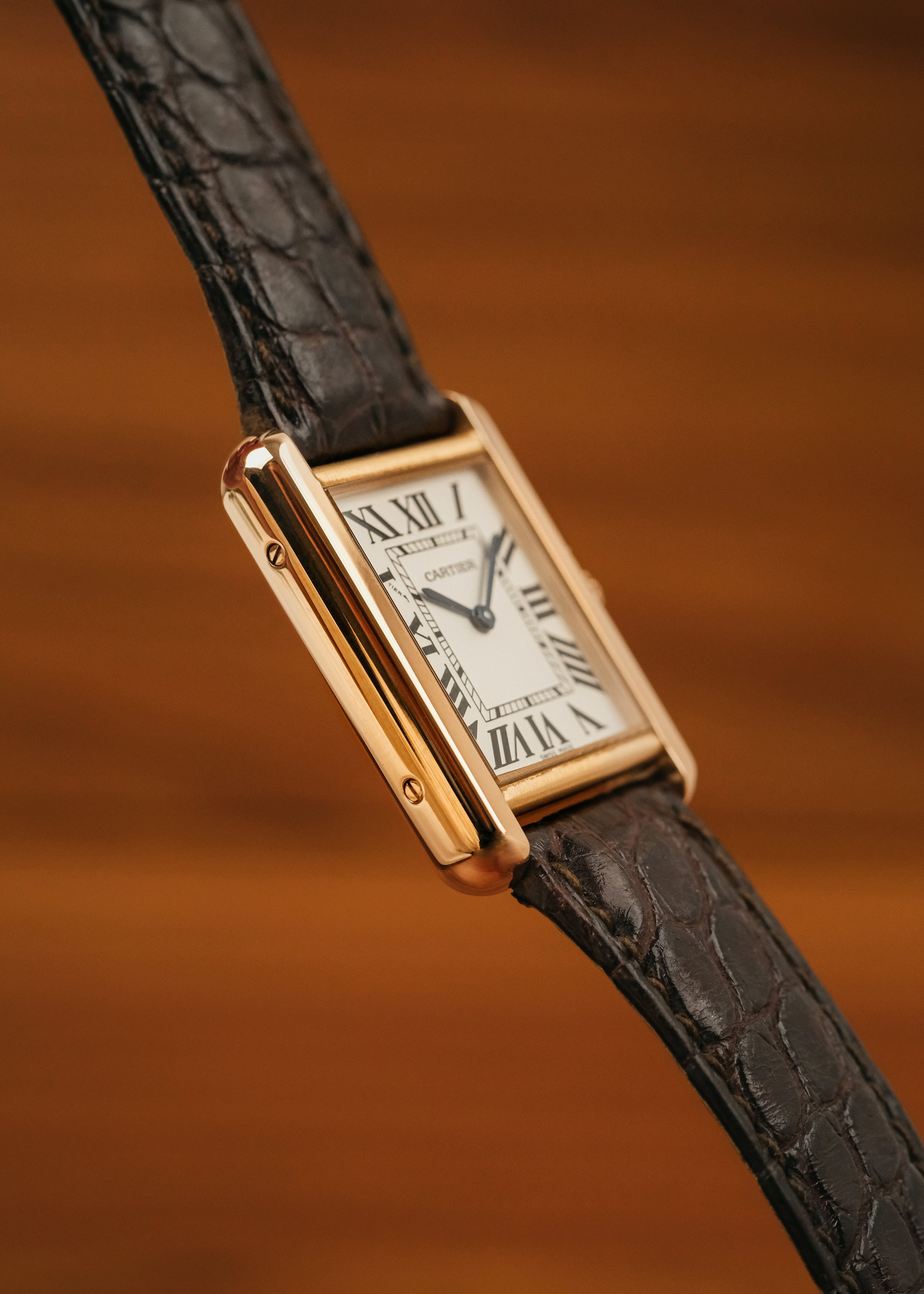 2023 Cartier Tank Solo 18K Gold (Box & Papers)