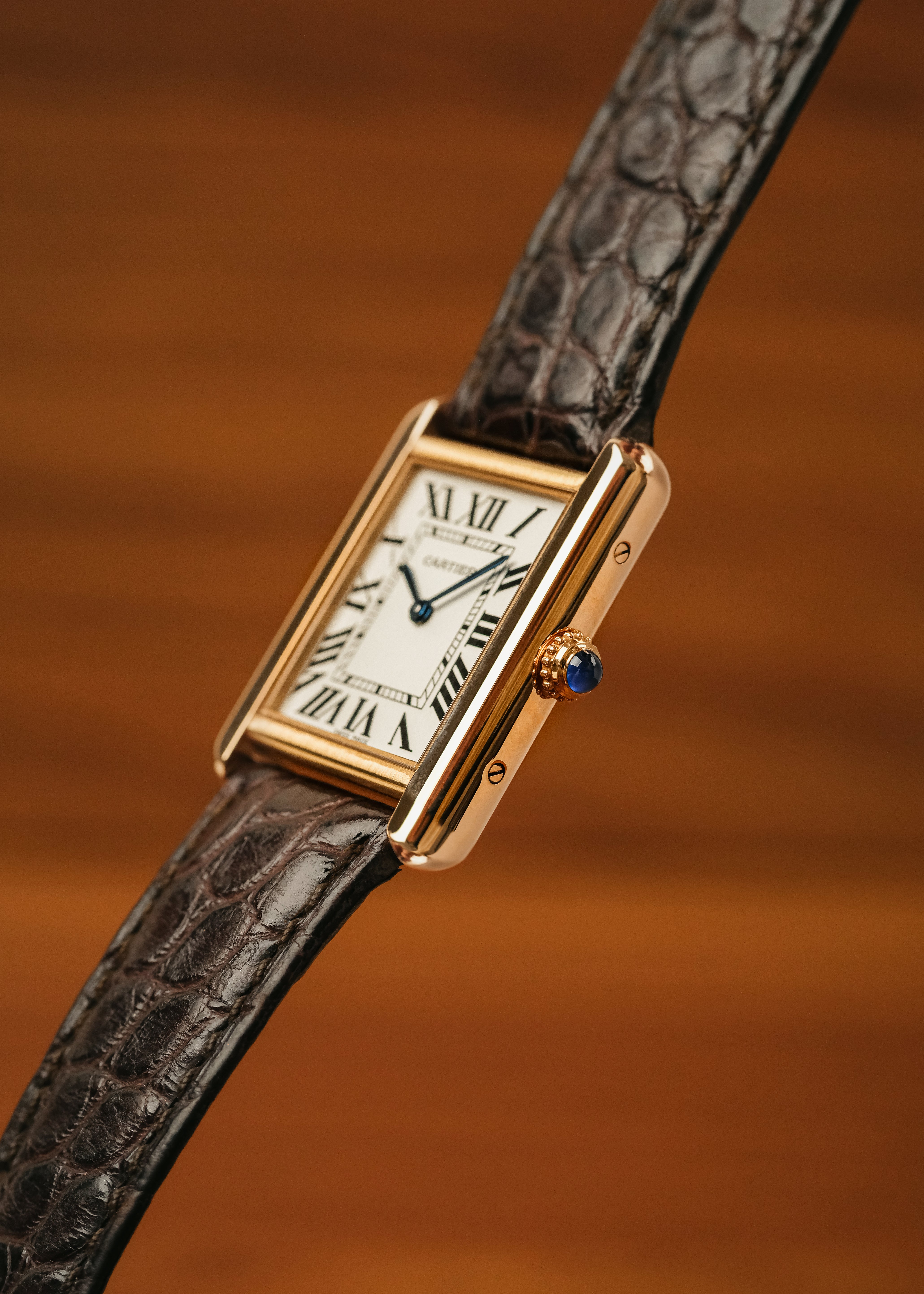 2023 Cartier Tank Solo 18K Gold (Box & Papers)