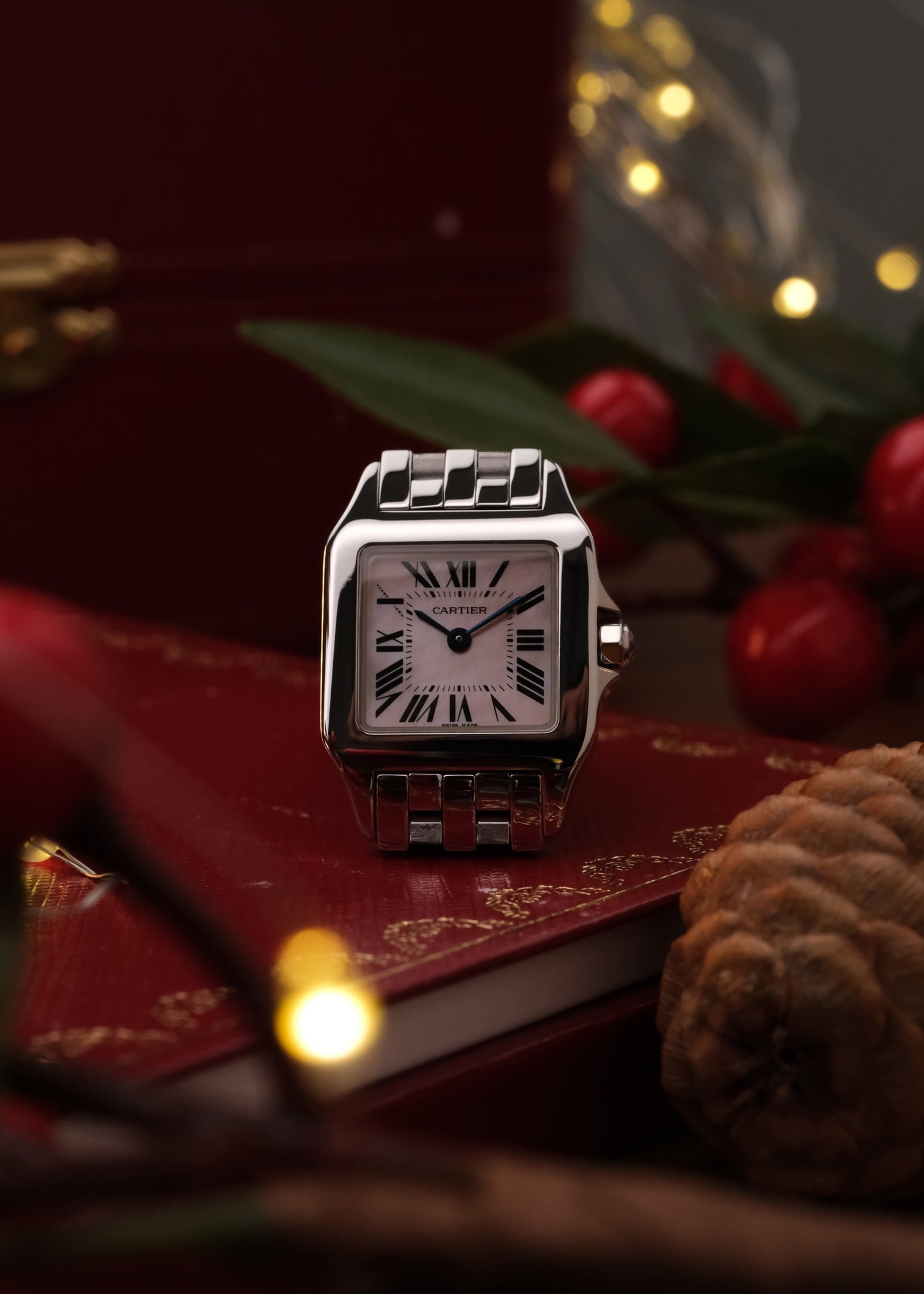 2009 Cartier Santos Demoiselle (Box & Papers)