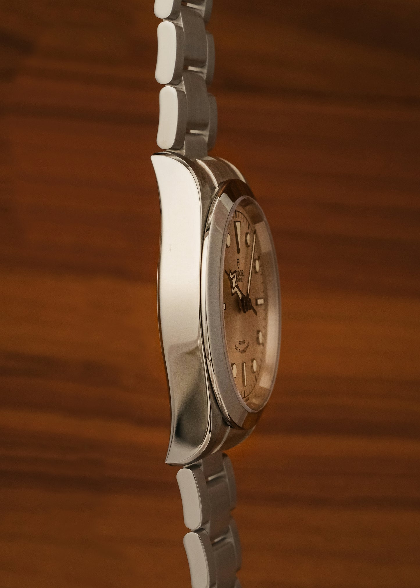 2021 Tudor Heritage Black Bay (Box & Papers)