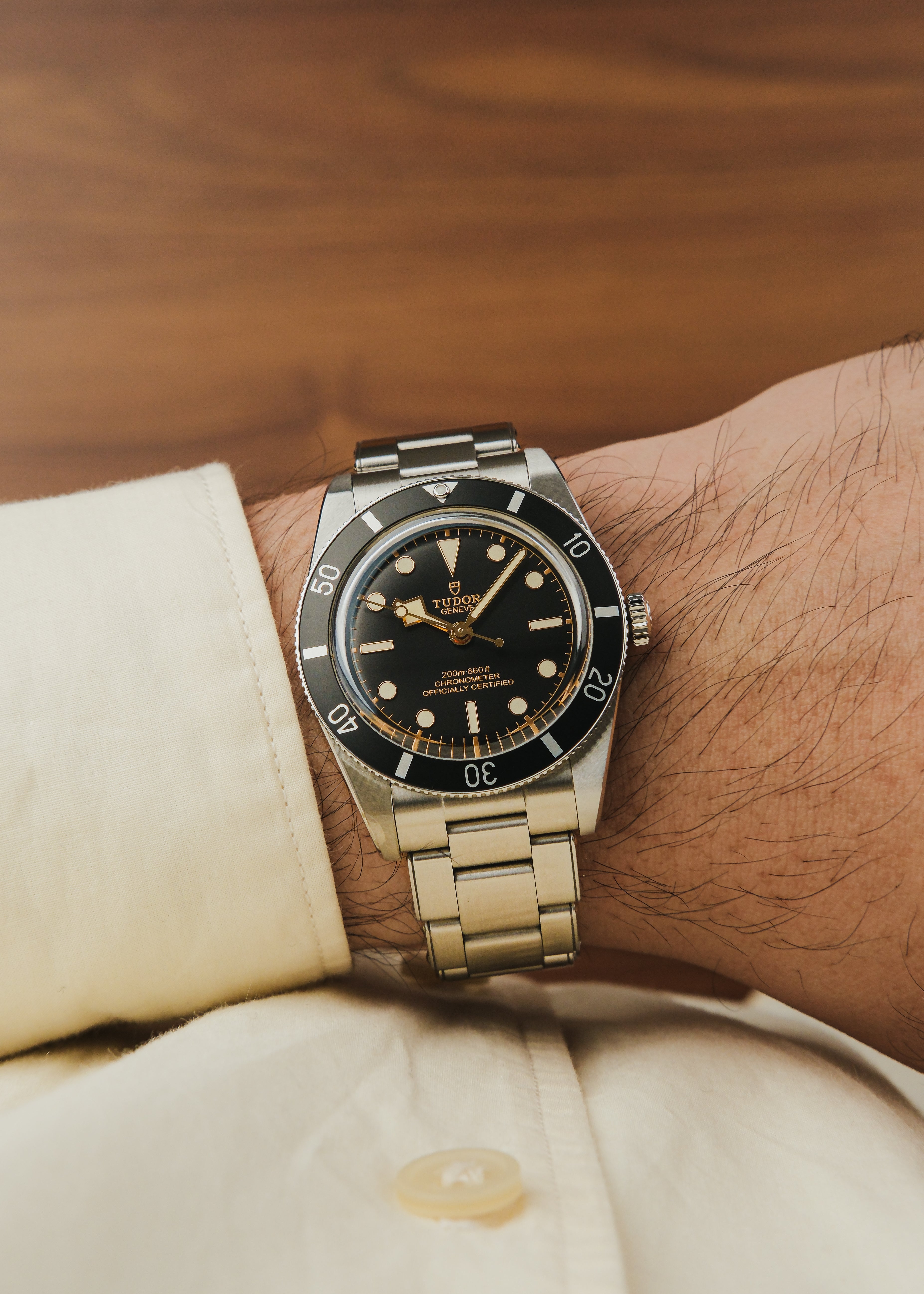 2023 Tudor Black Bay 54 (Box & Papers)