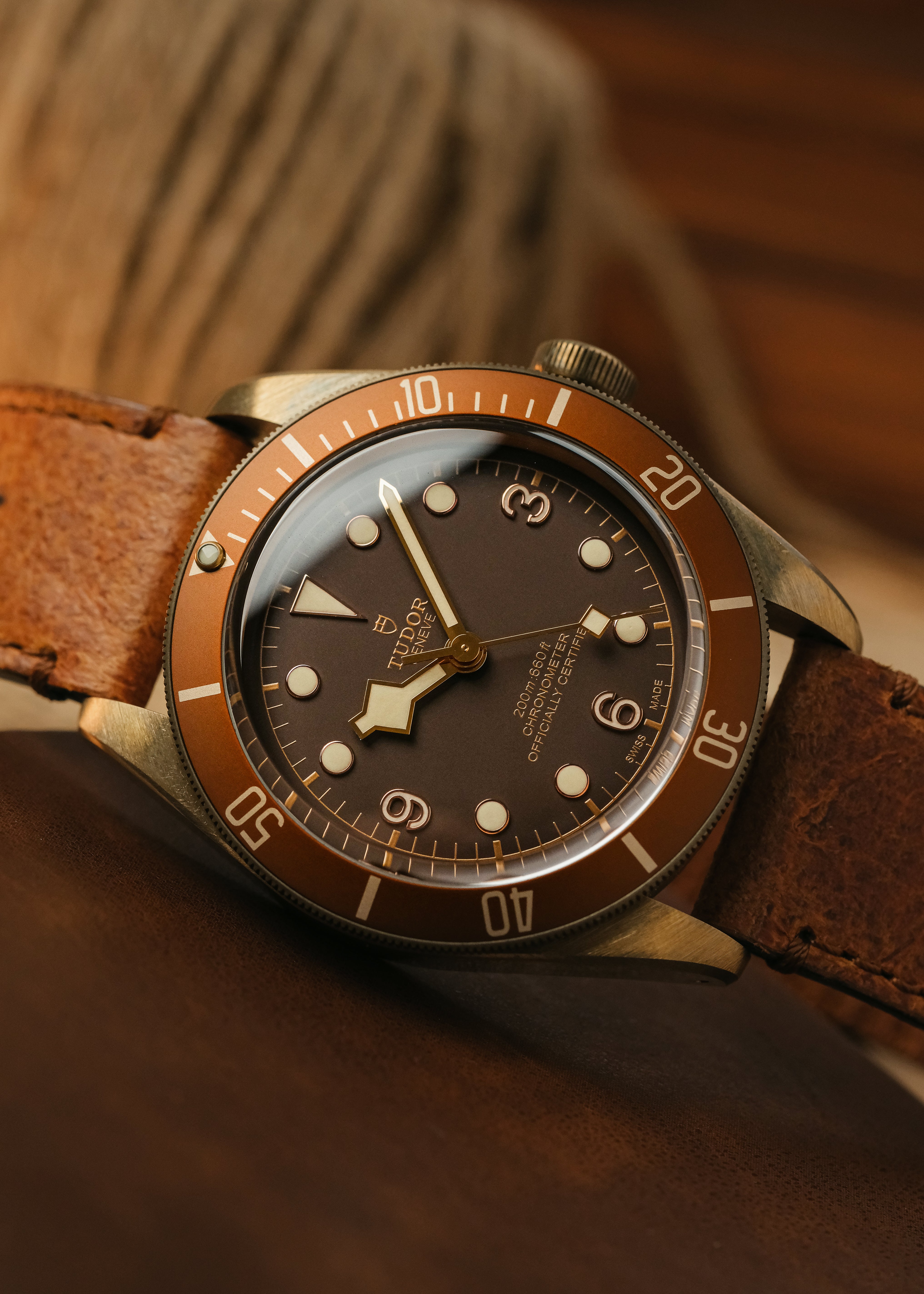 2018 Tudor Heritage Black Bay (Box & Papers)