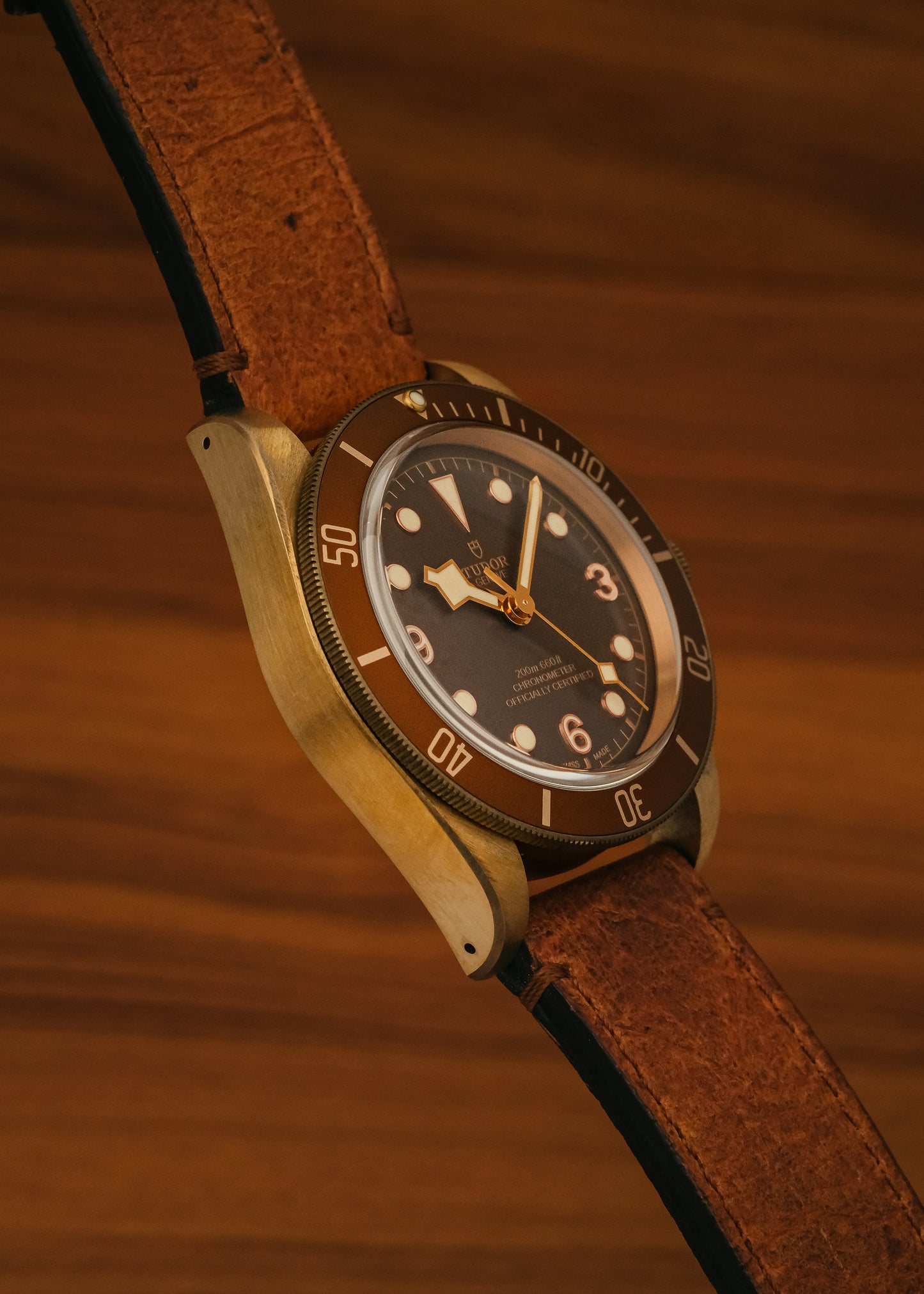2018 Tudor Heritage Black Bay (Box & Papers)