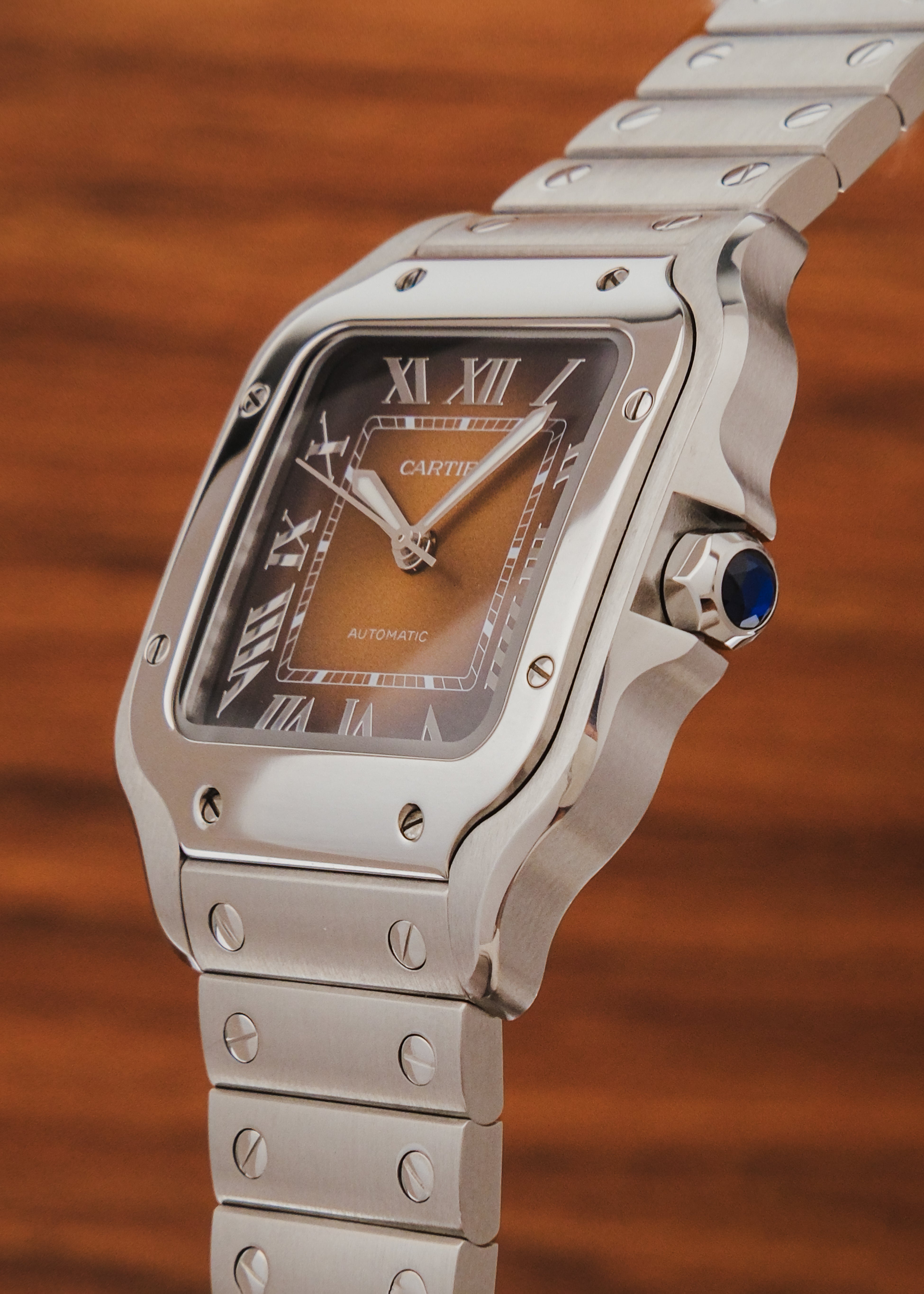 2024 Cartier Santos