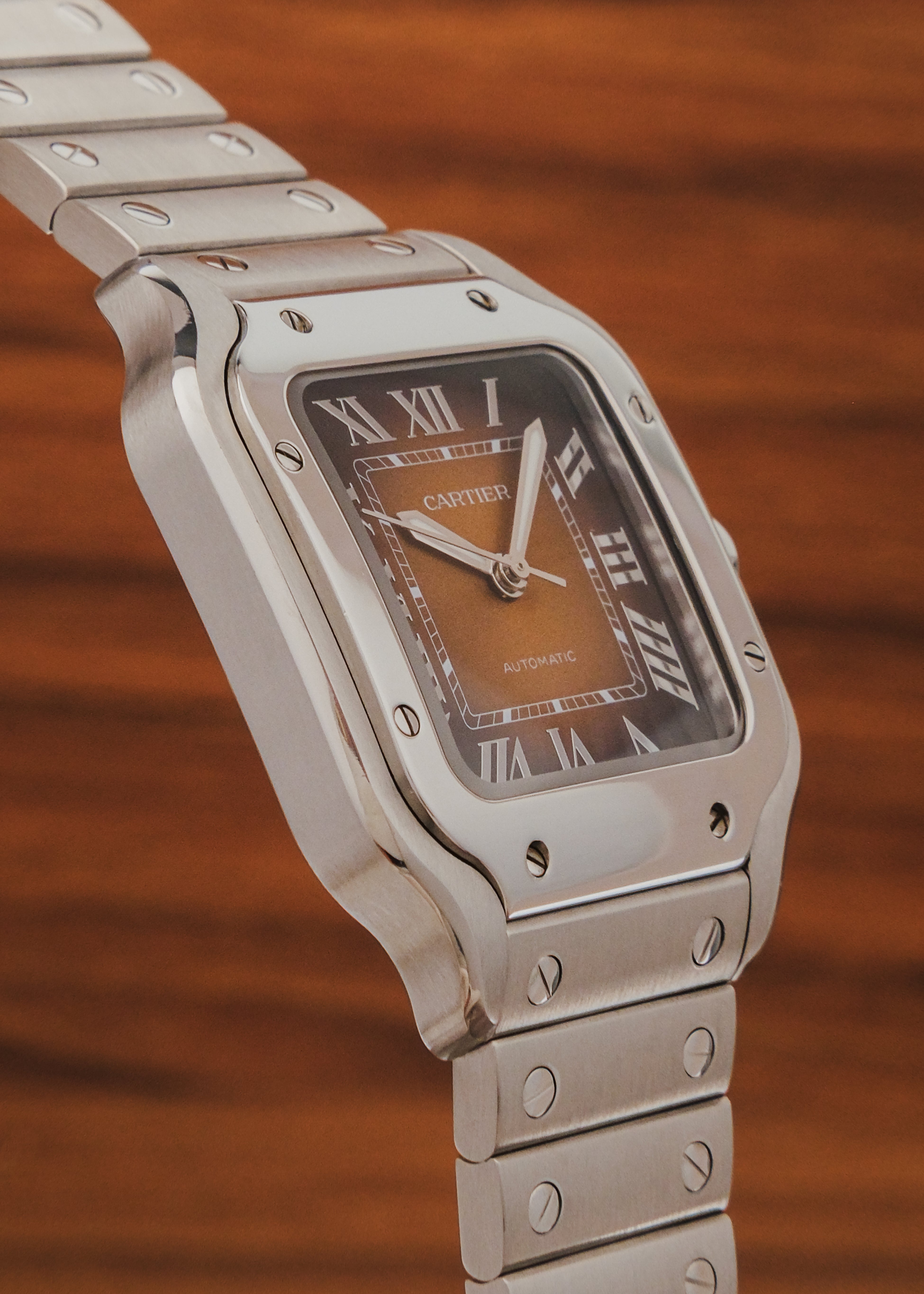 2024 Cartier Santos