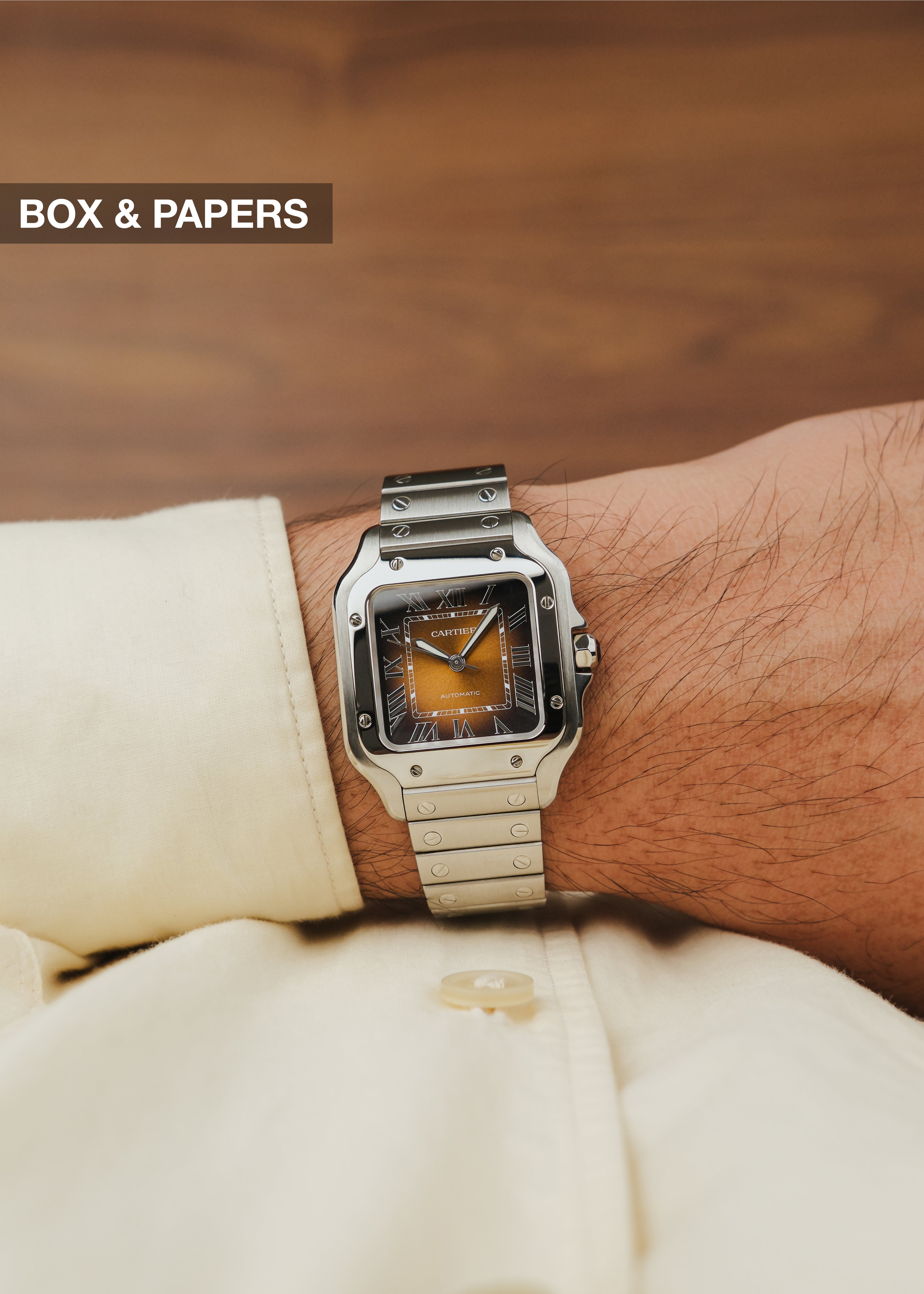 2024 Cartier Santos