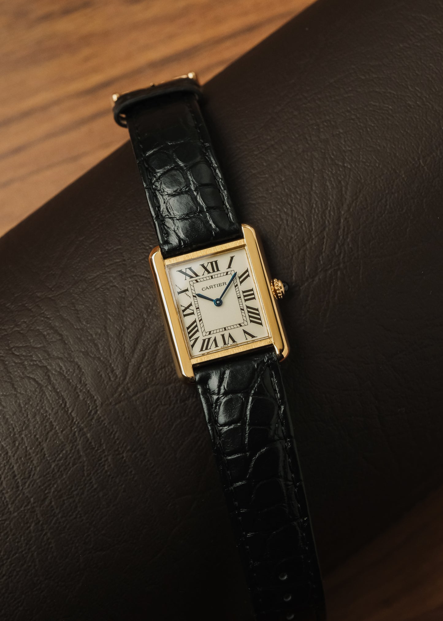 2024 Cartier Tank Solo 18K Gold (Box & Papers)