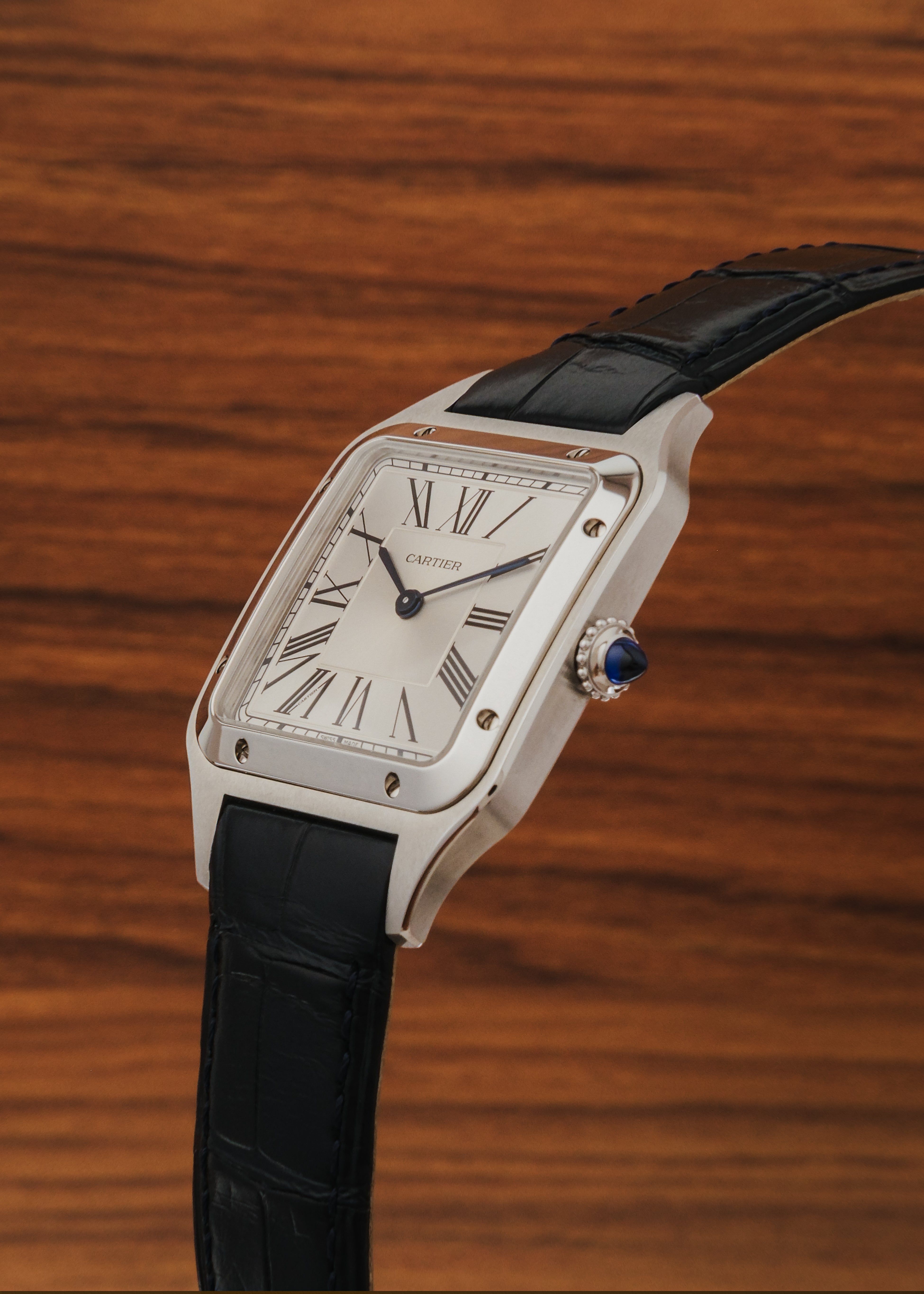 2025 Cartier Santos Dumont