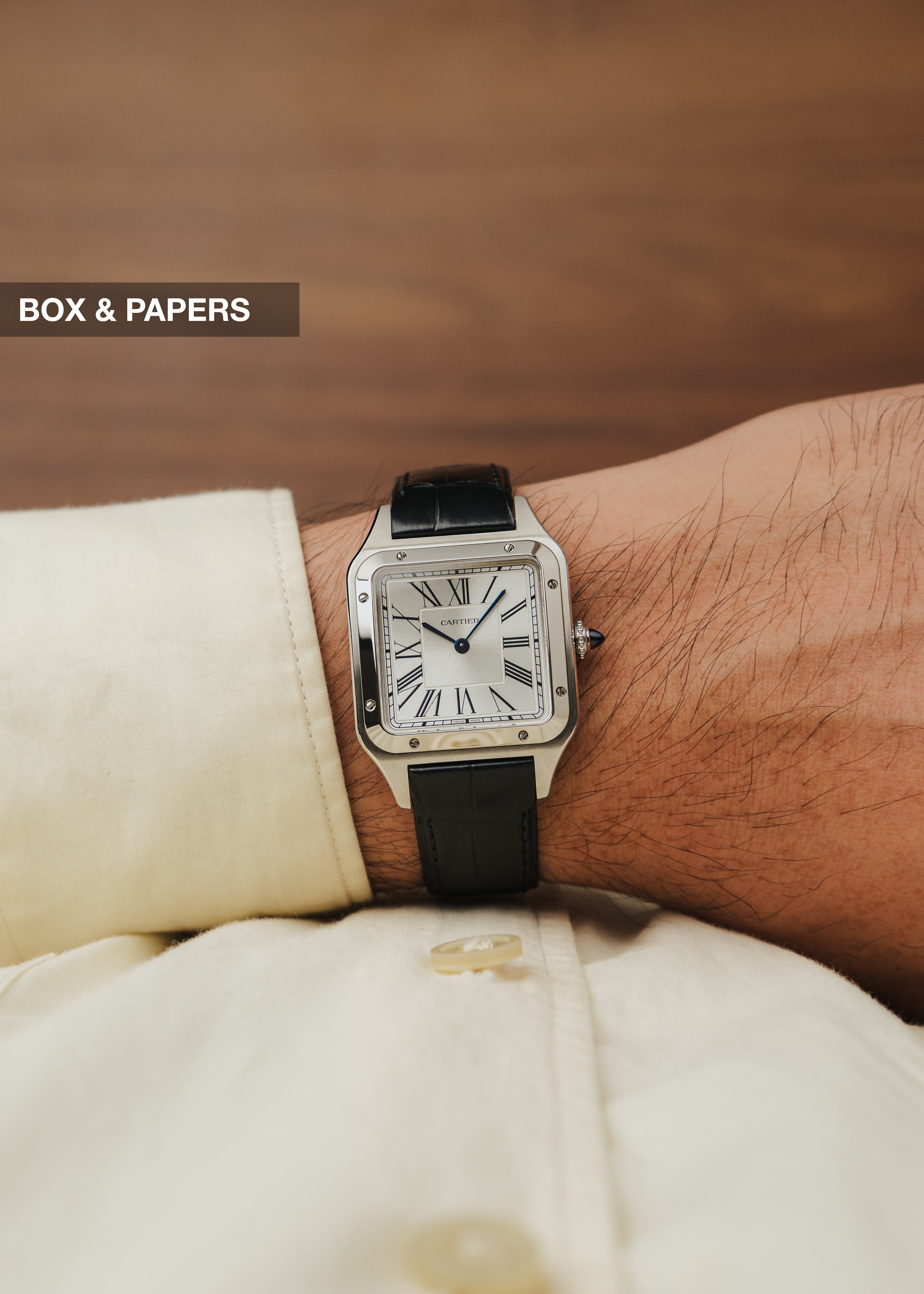 2025 Cartier Santos Dumont