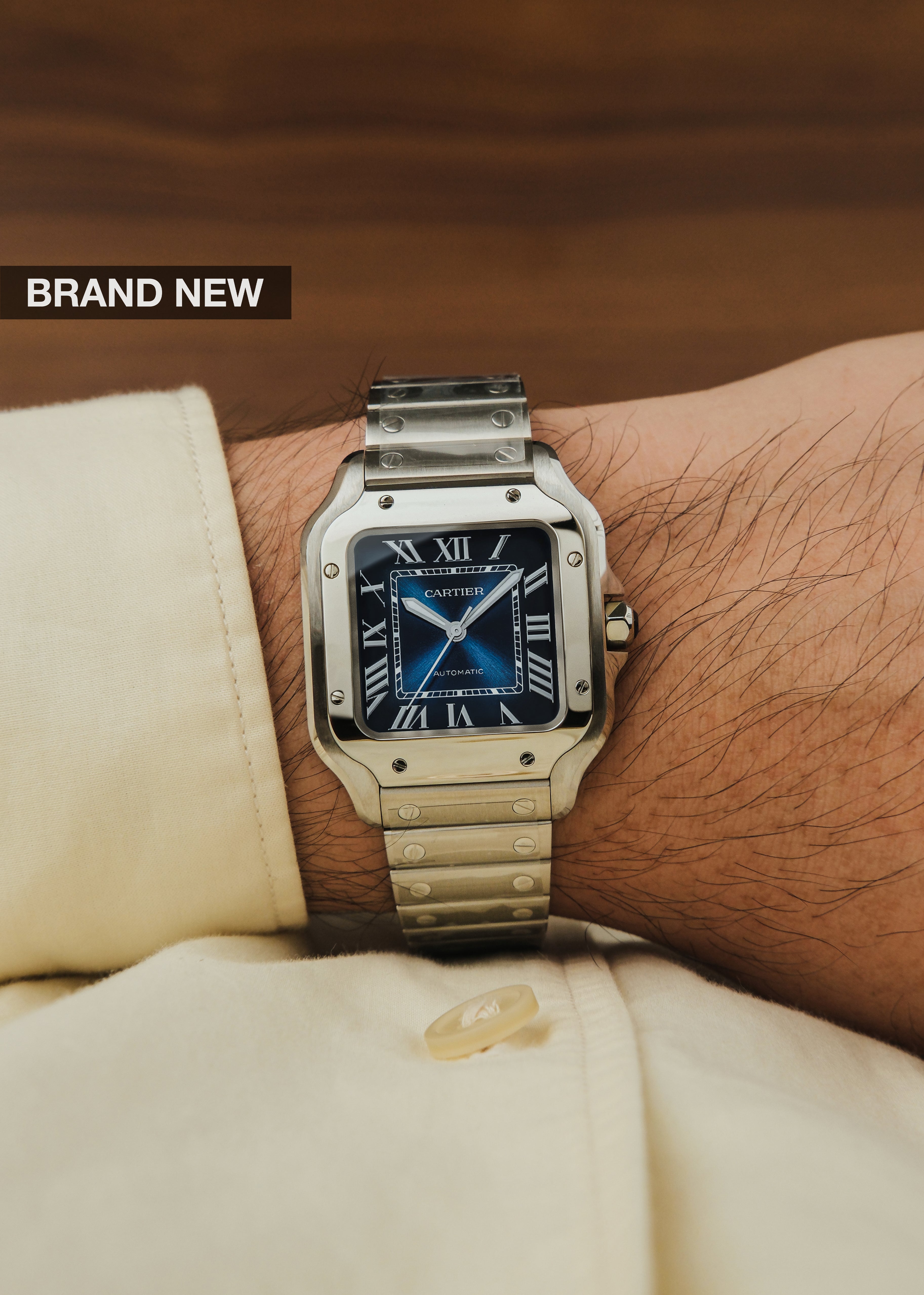 2025 Cartier Santos Medium (Box & Papers) *Brand New*