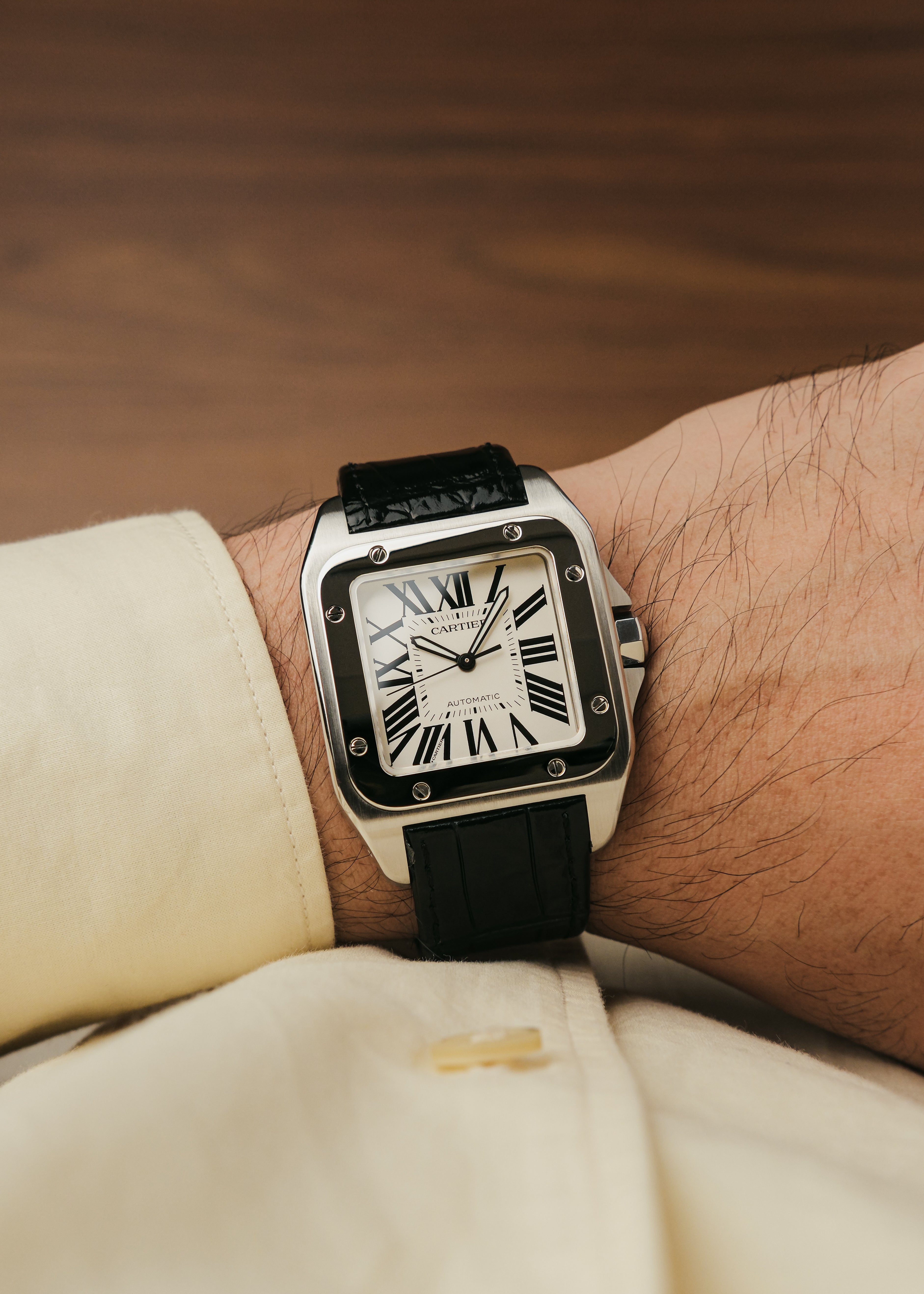 2023 Cartier Santos 100 (Box & Papers)