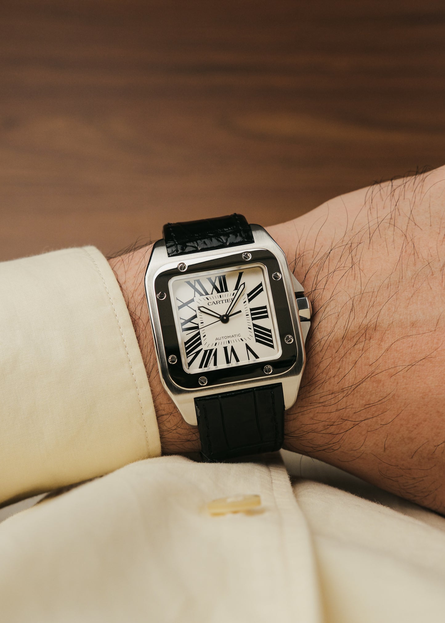 2023 Cartier Santos 100 (Box & Papers)