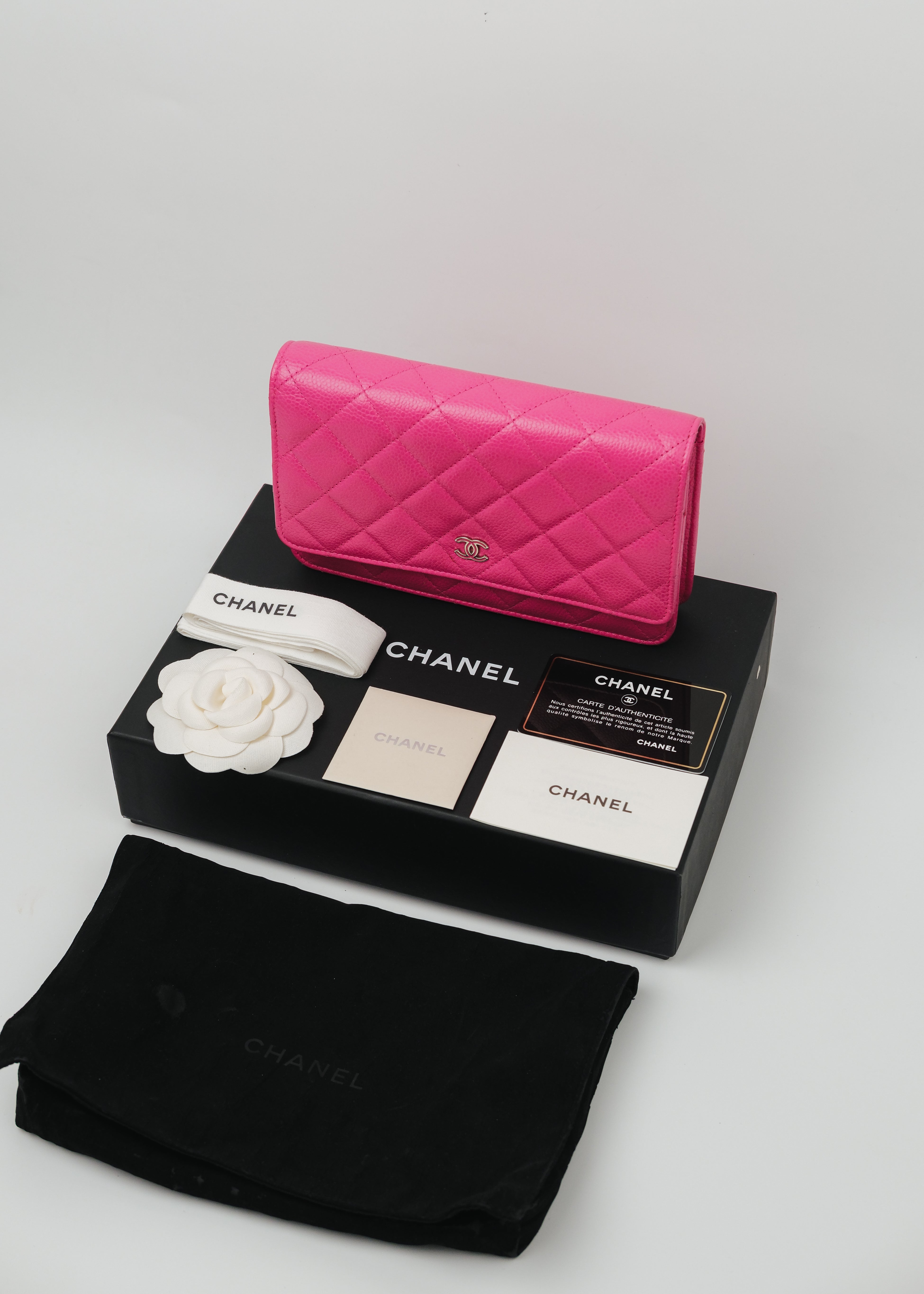 Chanel Series 21 Classic Wallet on Chain