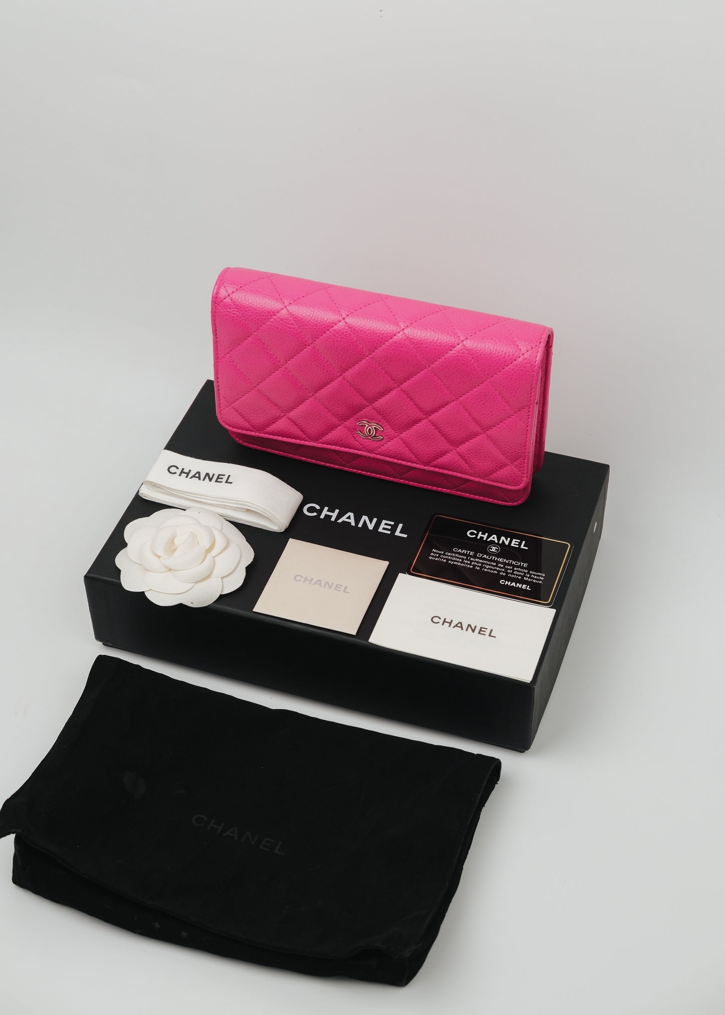 Chanel Series 21 Classic Wallet on Chain