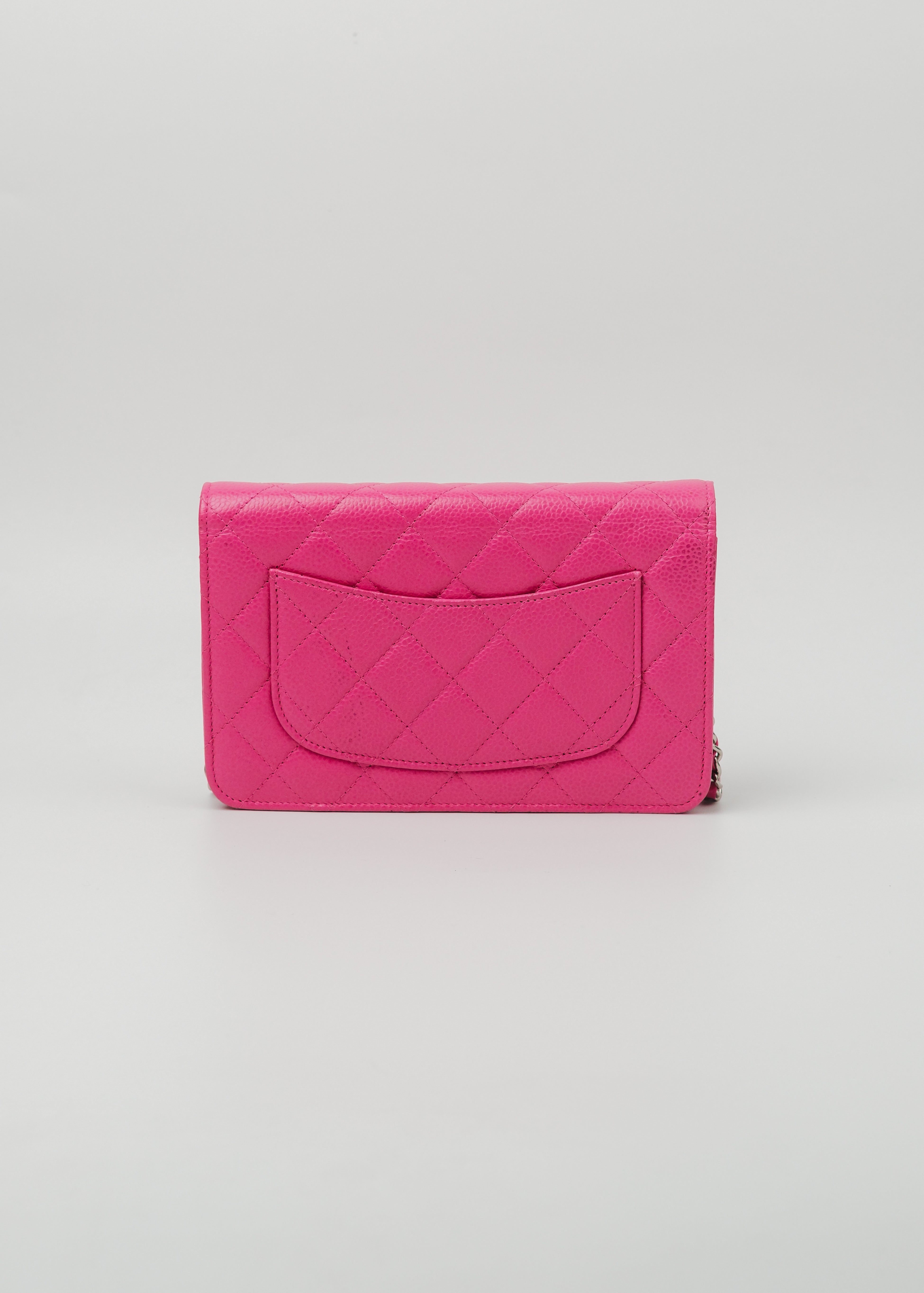 Chanel Series 21 Classic Wallet on Chain