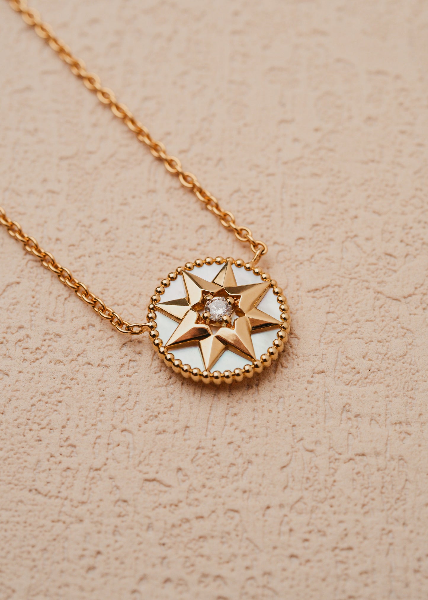2024 Dior Rose Des Vents Necklace (Papers) *ON HOLD*