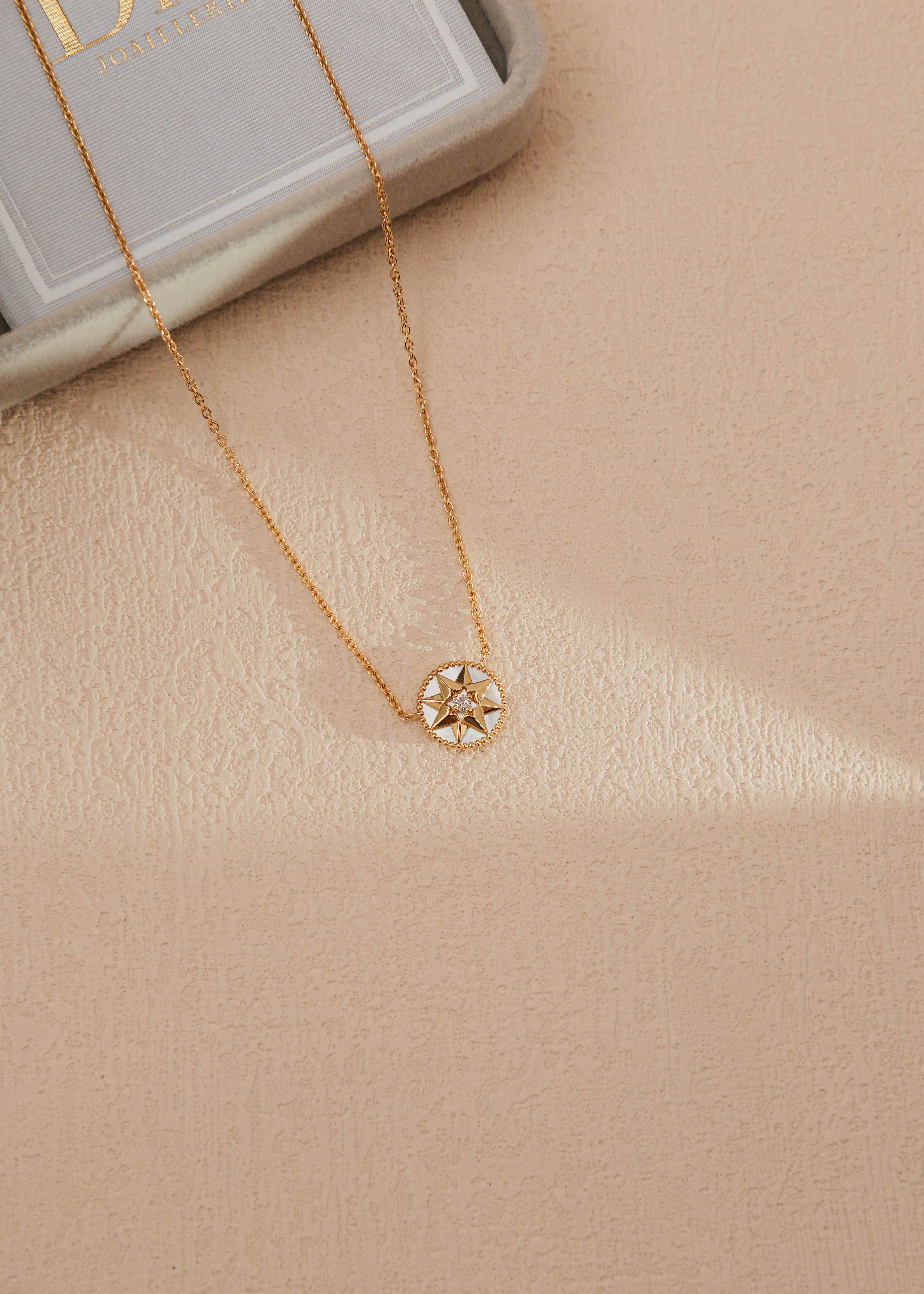 2024 Dior Rose Des Vents Necklace (Papers) *ON HOLD*