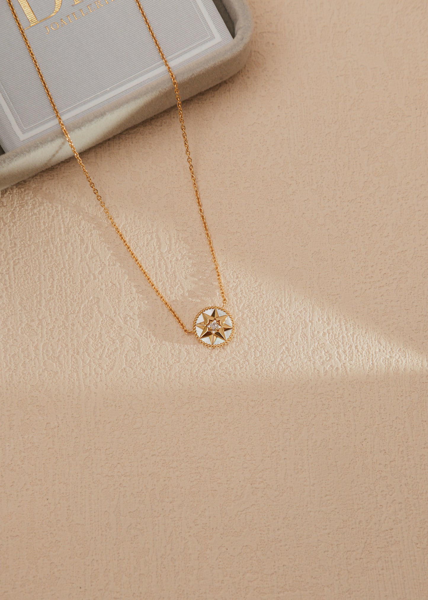 2024 Dior Rose Des Vents Necklace (Papers) *ON HOLD*