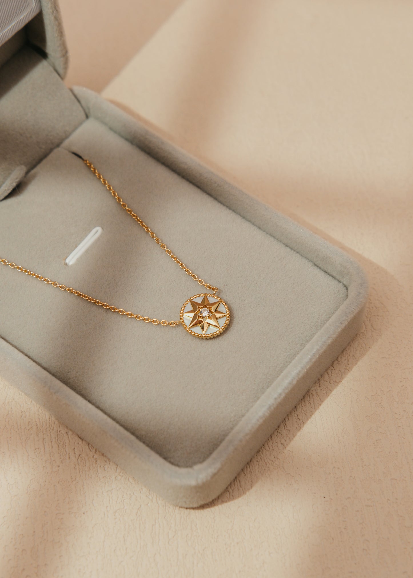 2024 Dior Rose Des Vents Necklace (Papers) *ON HOLD*
