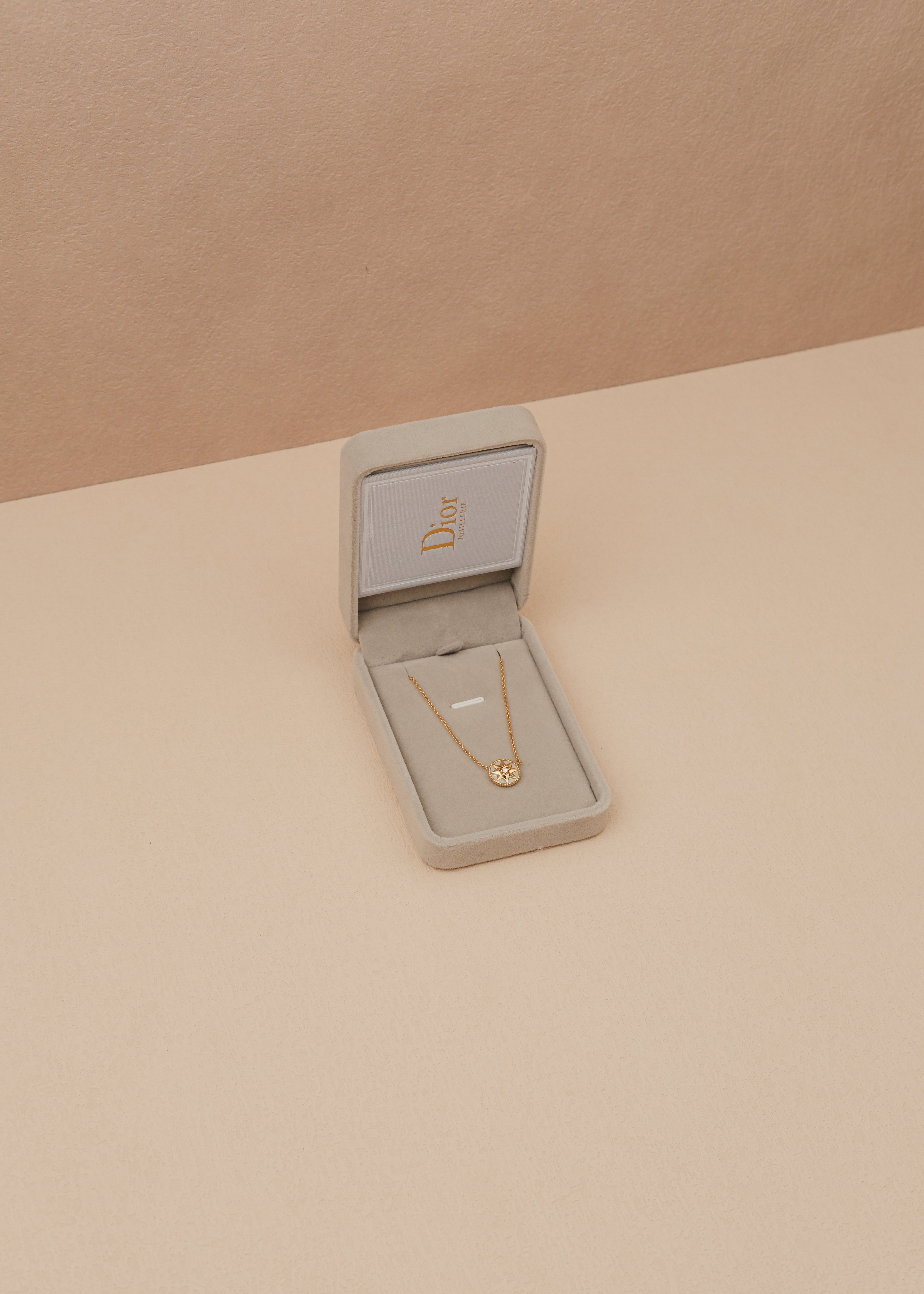 2024 Dior Rose Des Vents Necklace (Papers) *ON HOLD*